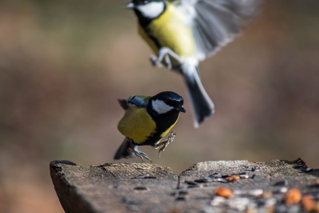 DSC_6885.jpg