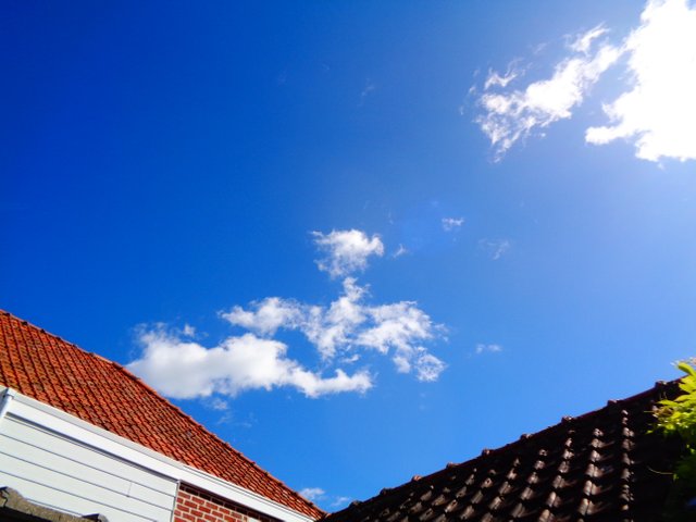 DSC02680.JPG