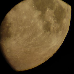 DSC_0050.jpg