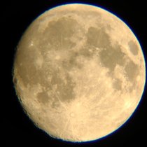DSC_0041.jpg