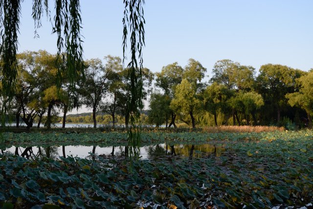 DSC_0037.jpg