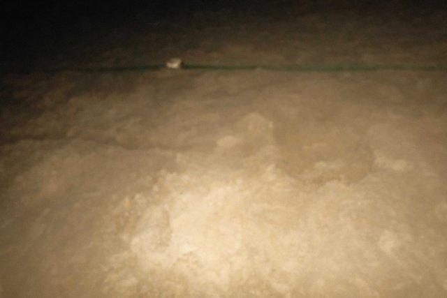 DSCF9755.jpg
