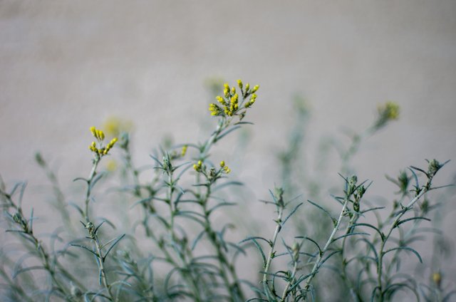 _IGP9837.jpg
