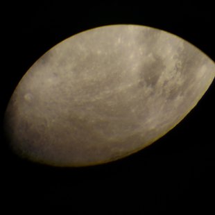DSC_0028.jpg