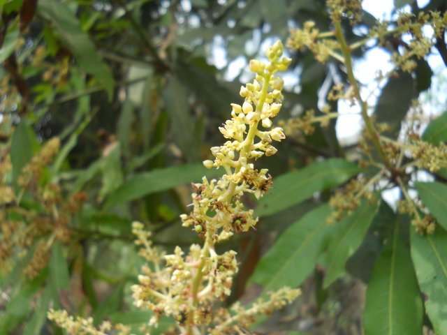 DSCN3783.JPG