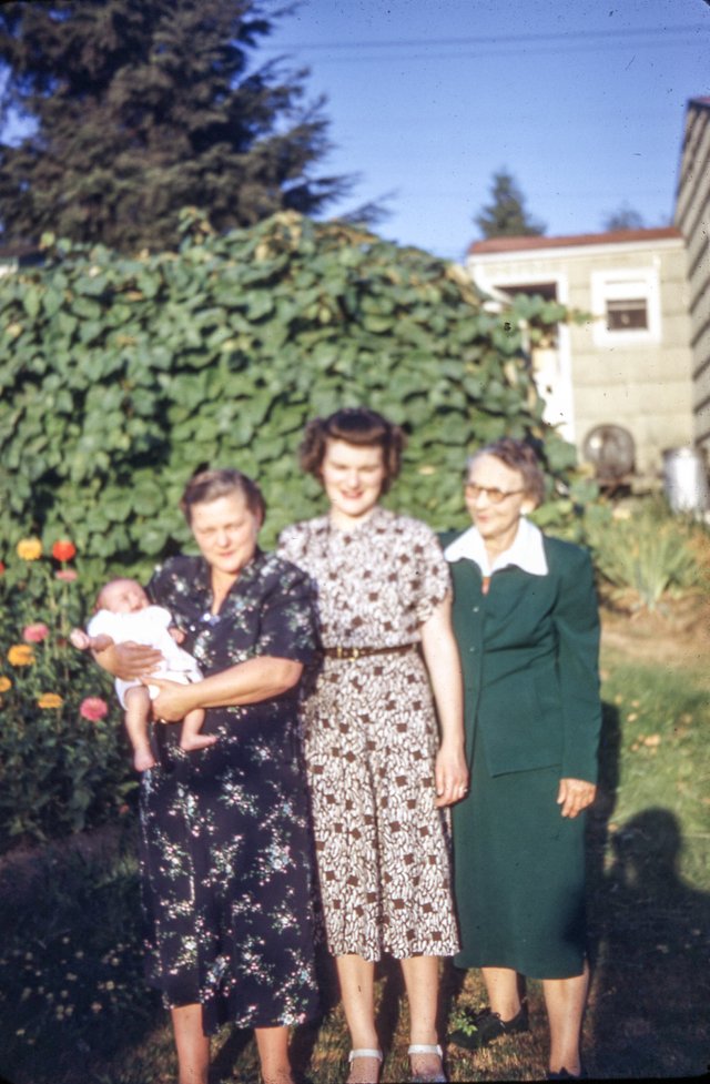 pickett pickell morehead family arnold oregon washington state usa seattle 1920s 1950s