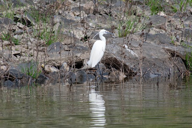 DSC_8079.jpg