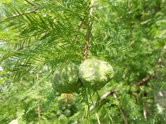DSCN5059.JPG