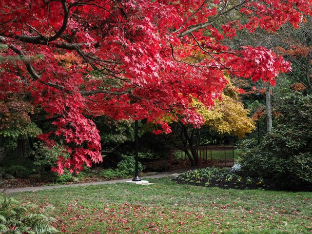PA240338.jpg