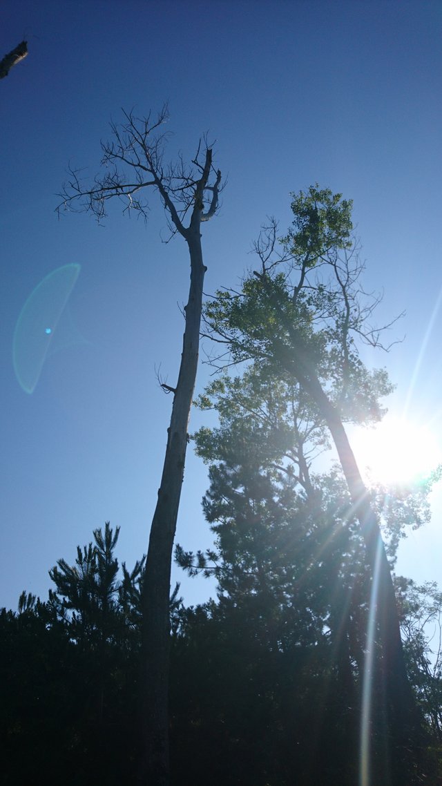 DSC_0324.JPG