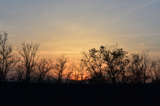 DSC_8906.jpg