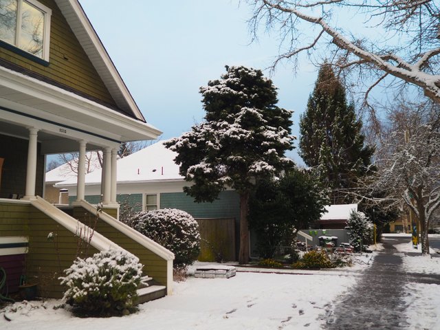 P2080026.jpg