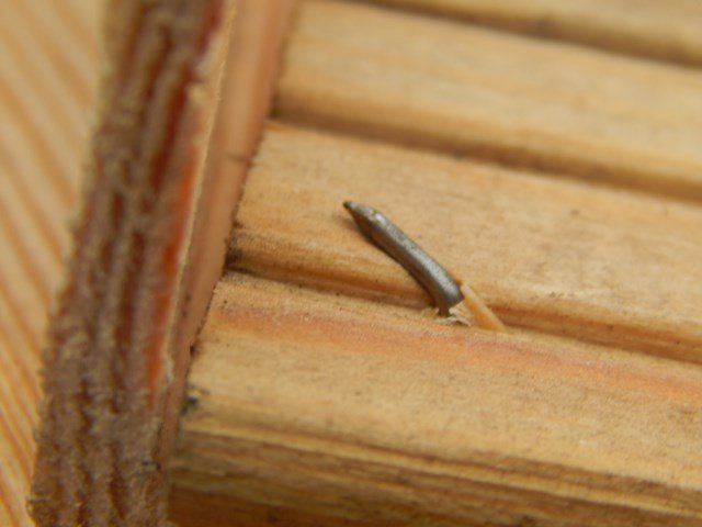 DSCN1987.JPG