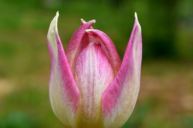 DSC_6402.jpg