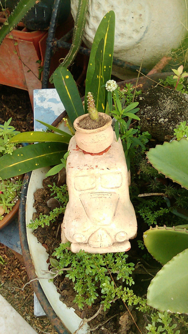 IMAG1099.jpg