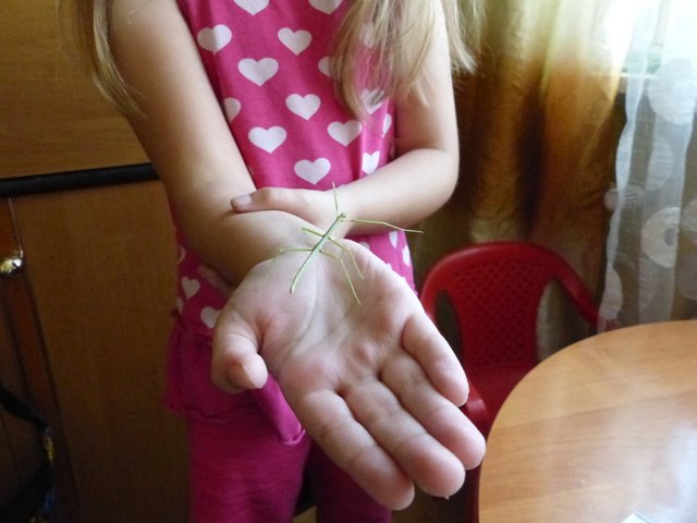 P1550193.JPG