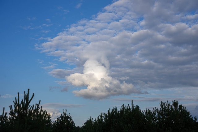 DSC09676.jpg