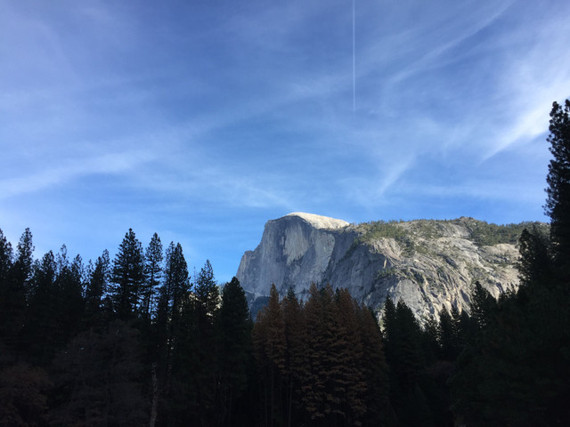 IMG_6255.jpg