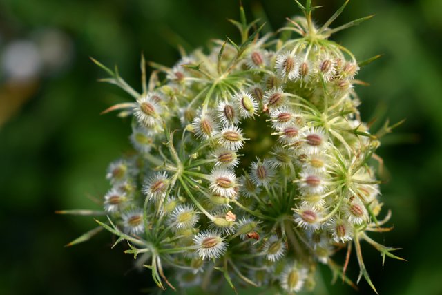 DSC_2273.jpg