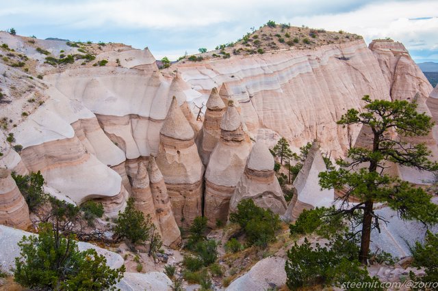 DSC_3255.jpg