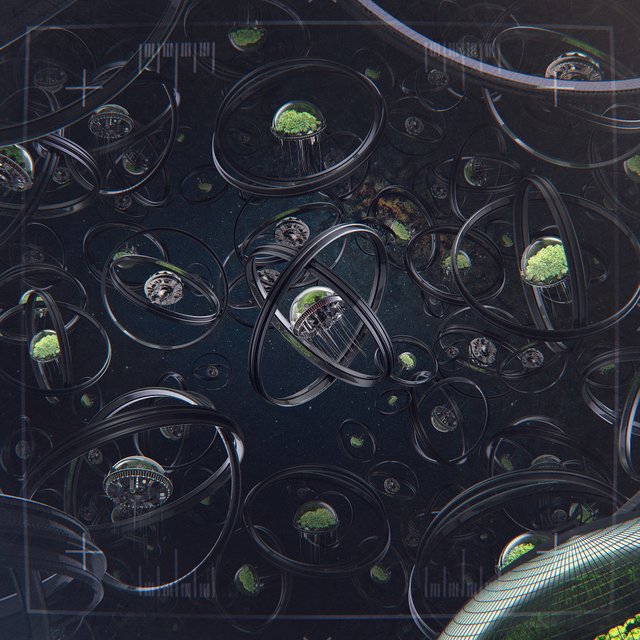 Seed_1_2.jpg