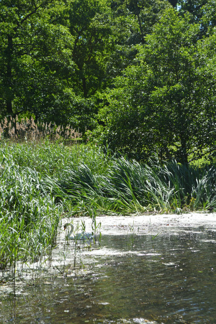DSC_0362.jpg