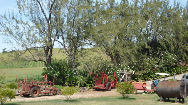 P1050449.JPG