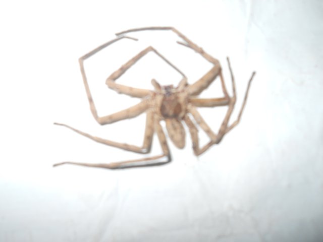 DSCN3849.JPG