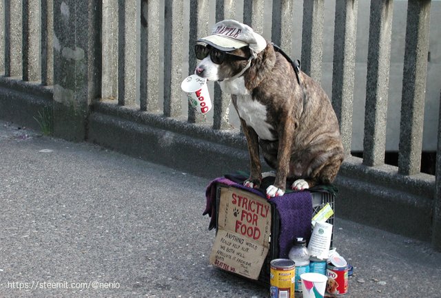 seattle2.jpg