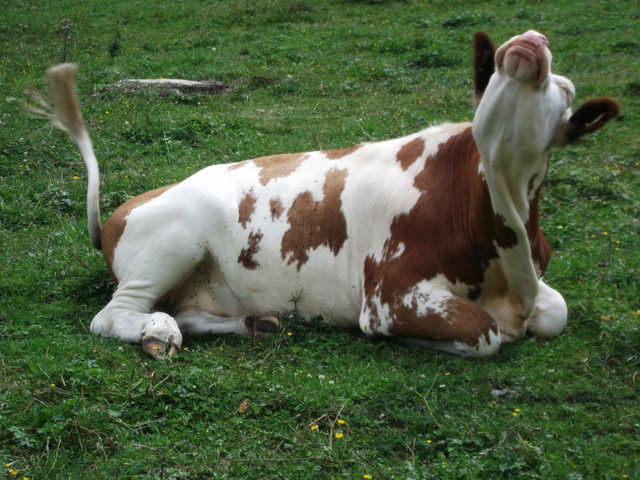 DSCF2128.JPG