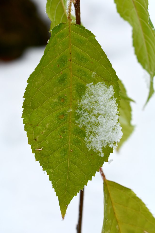 DSC_5373.jpg