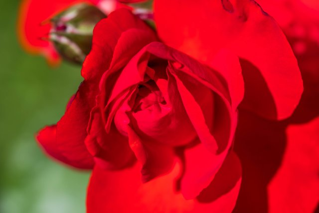 DSC_5601.jpg