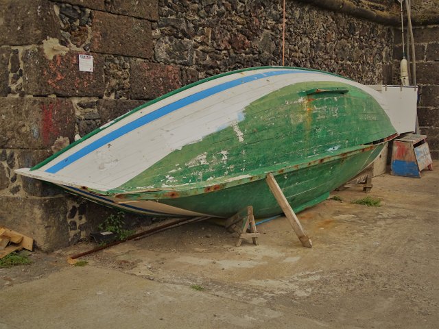DSC02876.JPG