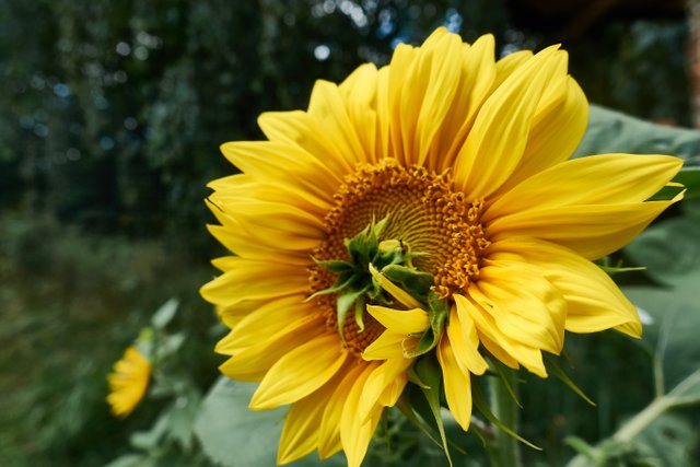 DSC04179.jpg