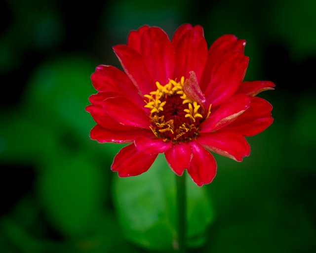 _DSC8791.jpg