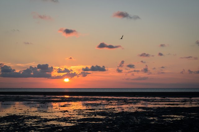 DSC_4784.jpg