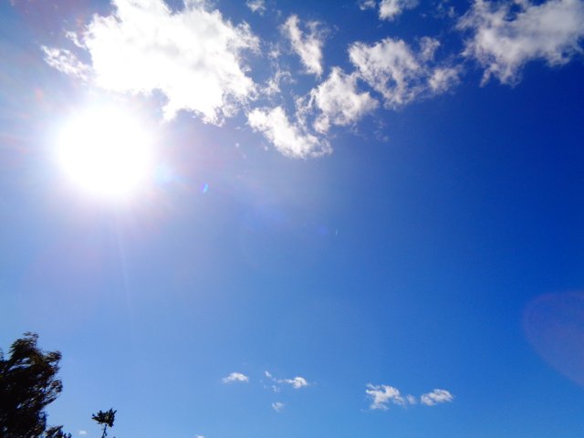 DSC02676.JPG