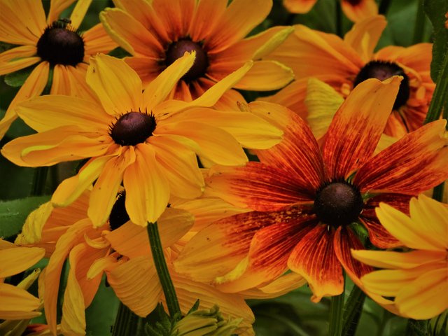 DSC03032.JPG