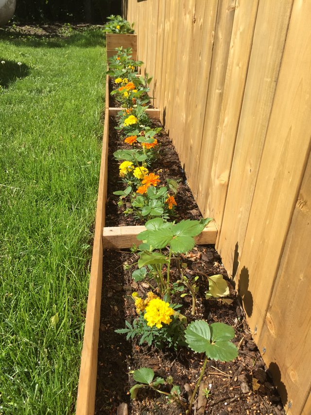 IMG_2071.JPG