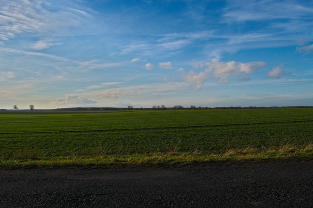 DSC_0307.jpg