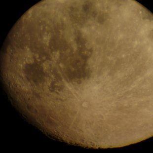 DSC_0051.jpg