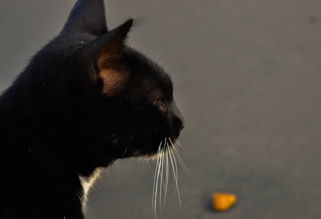 AHW_0085.jpg
