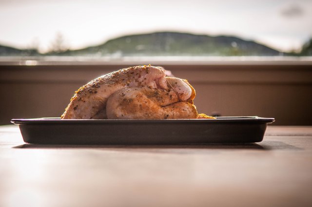 Chicken