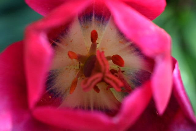 DSC_6796.jpg