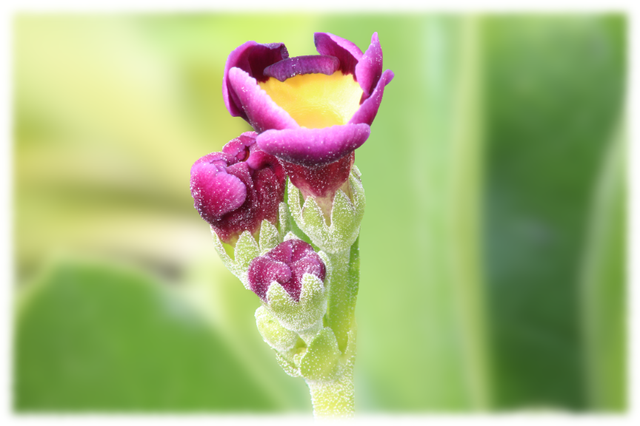 IMG_6197.png