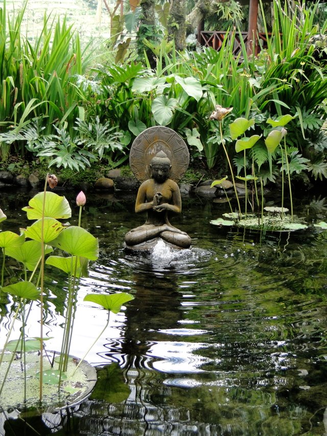 DSC00024.JPG
