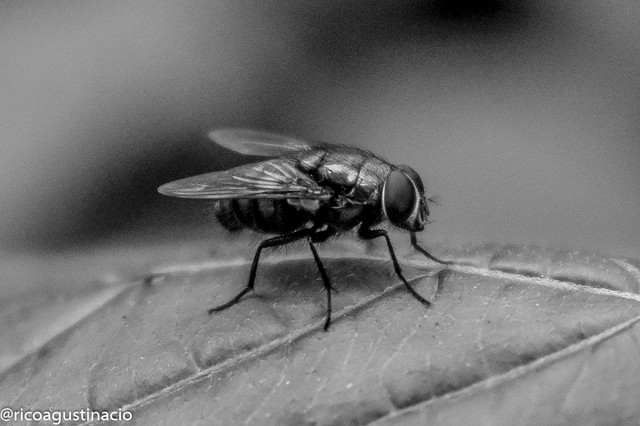 DSC_0414.JPG