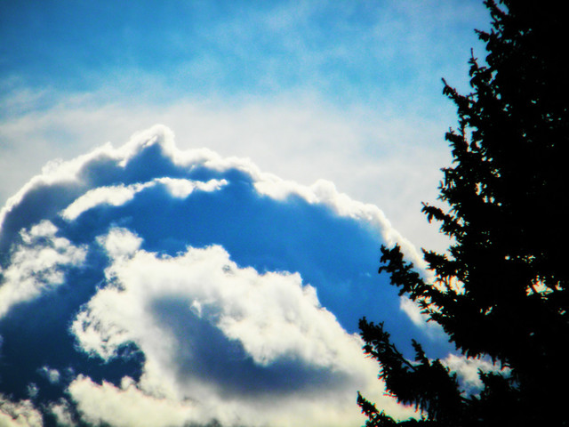 DSCN7597.jpg