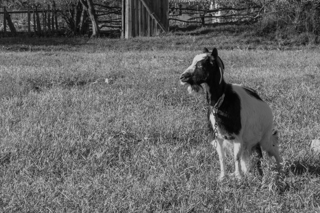 DSC_0059.jpg