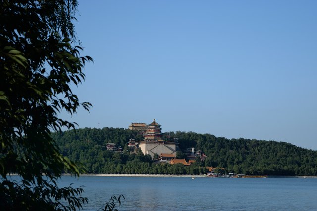 DSC_0021.jpg